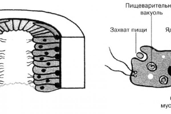 Зеркало тор браузера