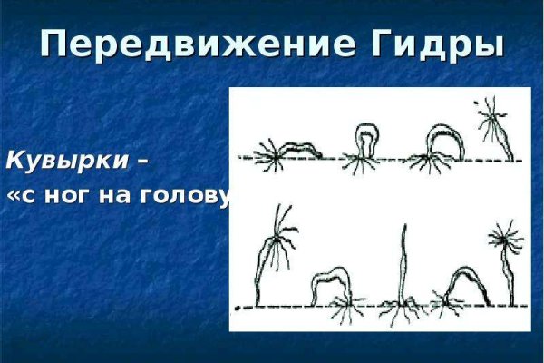 Как зарегистрироваться в кракен в россии