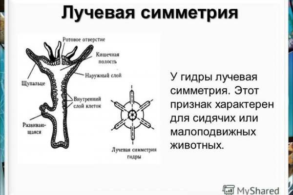 Кракен даркнет ссылка зеркало